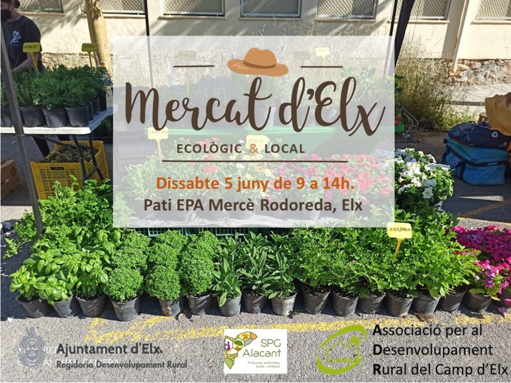 Ecomercat d’Elx 05/06/21 1